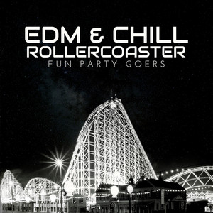 EDM & Chill Rollercoaster: Fun Party Goers