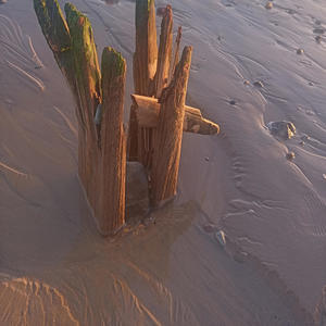 Here's to You, Soldier