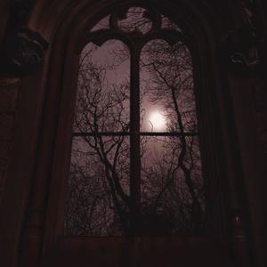 PAPARAZZI (feat. Jbdarawest, mir4L & Lil Turk) (Explicit)