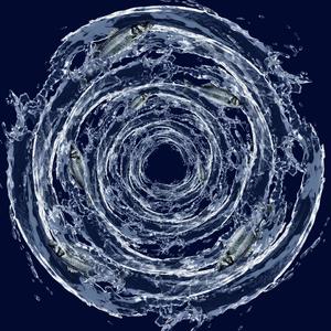 Blumen IV Oktopus Pierre (feat. Manuel Stahlberger)