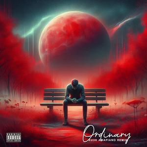 Ordinary (Amapiano Remix)