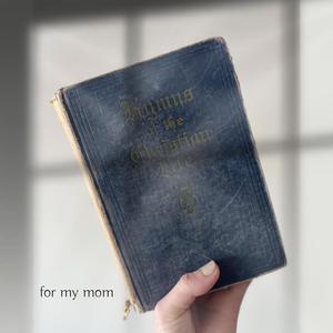 I'll Take Jesus (feat. Frankie & Bonnie Anderson)