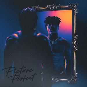 Picture Perfect (Explicit)