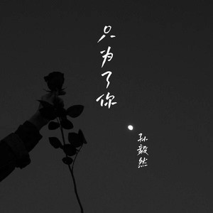 只为了你