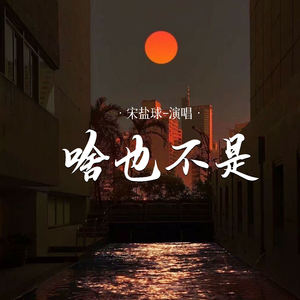 啥也不是 (DJ俊海版)封面