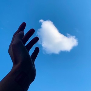 隐秘对话封面