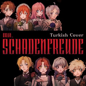 Mr. Schadenfreude (Turkish Cover)