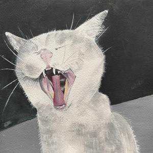 pierdolę że gadają (Explicit)