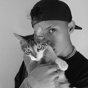 EL GATO DEL CALLEJÓN