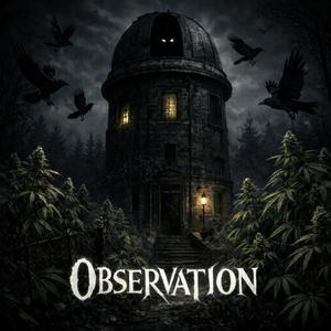 Observation (feat. RXVEN)