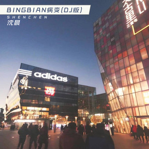 BINGBIAN病变 (DJ版)