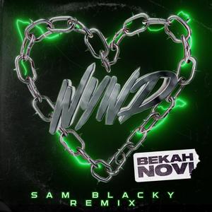 WYWD (Sam Blacky Remix) [Explicit]