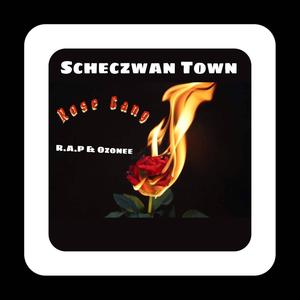 Scheczwan Town (feat. Ozonee) [Explicit]