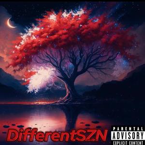 DifferentSzn (Explicit)