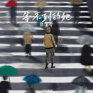 张萧介 - 等不到的她