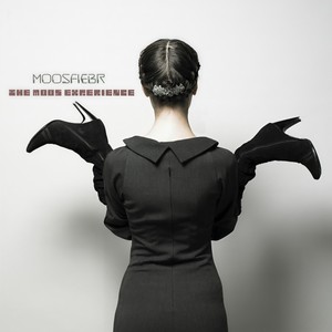 Digital Moos Experience