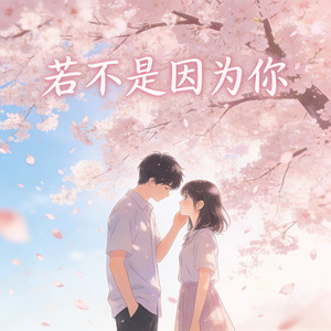若不是因为你 (R&B情绪版)封面