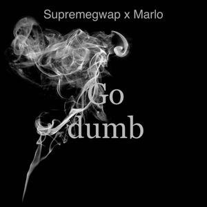 Go Dumb (Explicit)