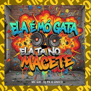 Ela é Mó Gata Ela Ta no Macete (Explicit)