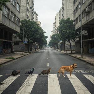 Espelho da Alma