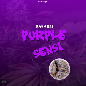 Purple Sensi (Explicit)