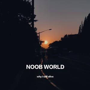 NOOB WORLD