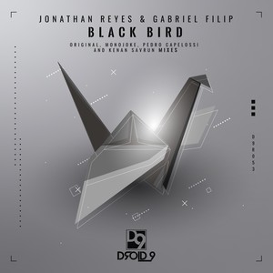 Black Bird (Kenan Savrun Remix)