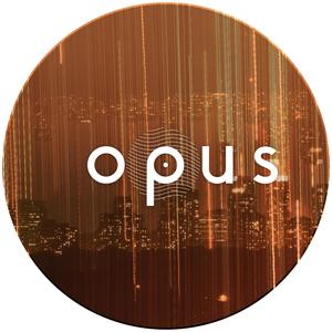 OPUS019