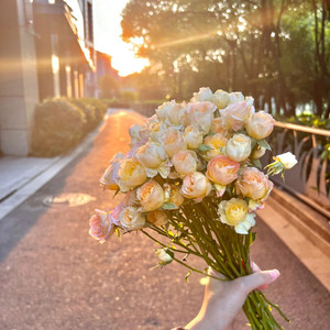 Again (我不是想要和你隔着屏幕说话)