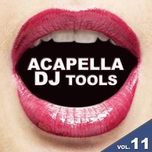 Acapella DJ Tools, Vol. 13