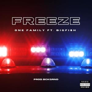 Freeze (feat. BIG FI$H) (Explicit)