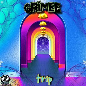 trip