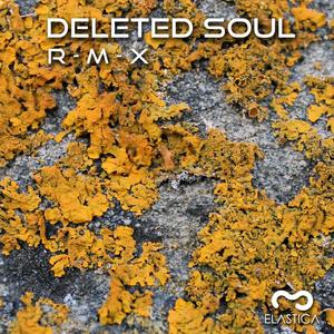 DanceHall Ram (Deleted Soul Remix)