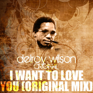 I Want to Love You (Original Mix)