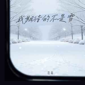 我期待的不是雪