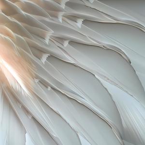 ANGEL (feat. Laura)