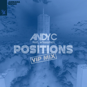 Positions (VIP Mix)