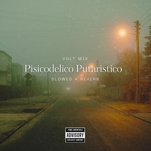 Volt mix Pisicodelico Putaristico (Slowed + Reverb) [Explicit]