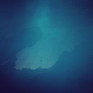 Under The Grapefruit Tree