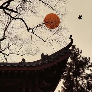 若梦 (DJ德朋版)