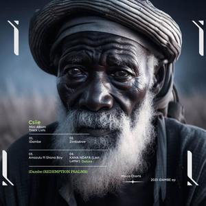 Amazulu (feat. Shona Boy)