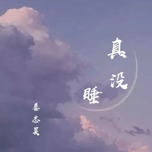 姜志昊 - 真没睡