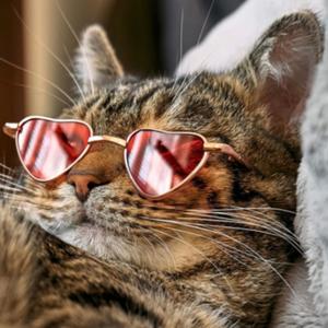 zombie (feat. 2okaymar) (Explicit)