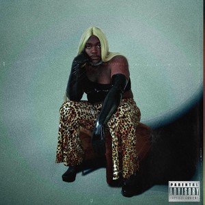 Destiny(feat. Jel: The Digital Dream Girl)