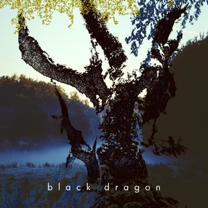 Black Dragon