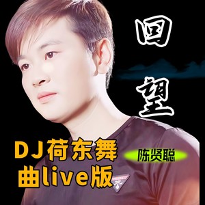 回望 DJ荷东舞曲Live版 (伴奏)