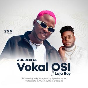 Wonderful (feat. LajaBoy)