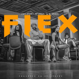 Flex (feat. G-spack & Magzi)