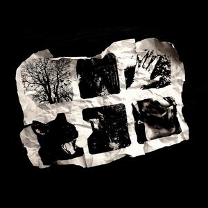 PLAY DEAD! (feat. Duzi Darko & Swisher Coffin) (Explicit)