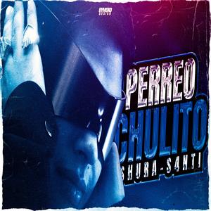 PERREO CHULITO (feat. S4ntii RMX)